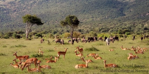 Why Mara is Poetry From Nature