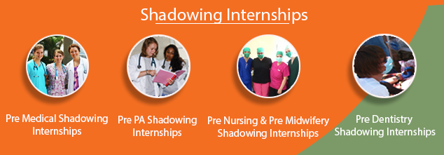 The general highlights of Elective Africa's Pre-Health Internships encompasses the following aspects: