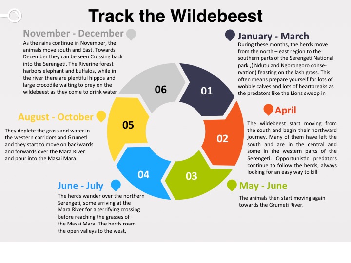 Track the Wildebeest