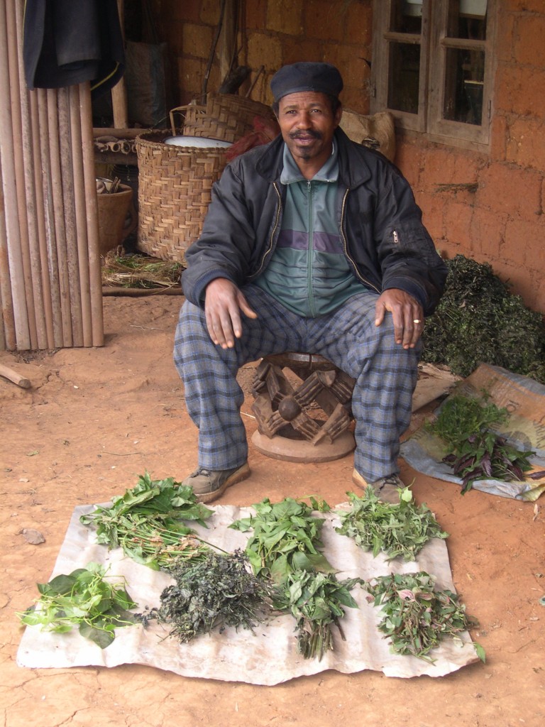 Traditional Medicine in Kenya