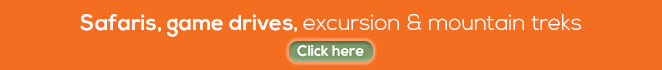 Elective Africa Healthcare Program Specialties