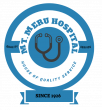 Mt Meru Hospital